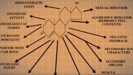 Hormonal Acne Treatment