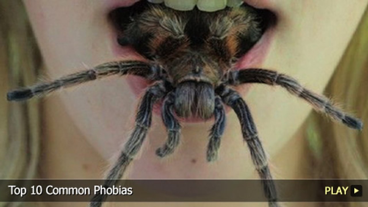 Top 10 Common Phobias