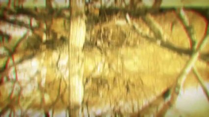 Dayz Standalone - Alpha Trailer