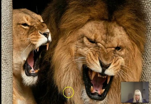 arp auto recruiting platform - beta 1 almost gone