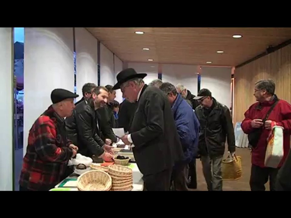 Marché controlé aux truffes de Brive la Gaillarde