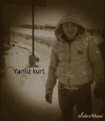 Yanlız kurt