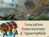 l'association A.B.A  Beauvais
