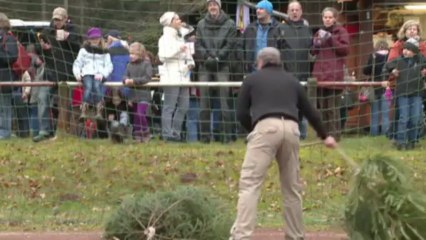 Download Video: Verrücktes aus der Pfalz: Weihnachtsbäume fliegen um die Wette