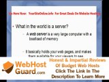 Best Website Hosting:  How To Pick The Best Website Hosting Provider