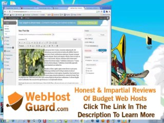 Getting DNS servers from HostGator or CPanel.mp4