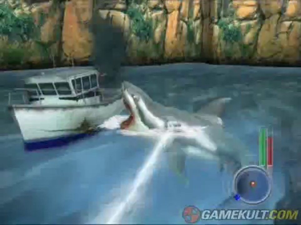 Les Dents de la mer - Première sortie...