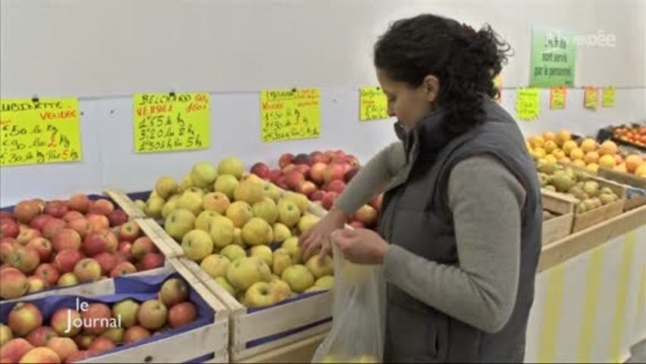 Fêtes de fin d’année : manger léger et équilibré (Vendée)