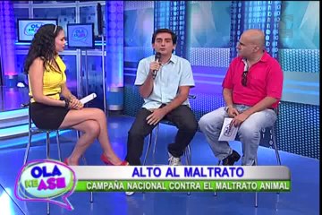 Alto al Maltrato: ¿qué pasó con el perro que murió víctima de los pirotécnicos?