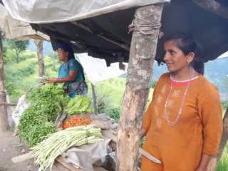 India Sikkim Bhutan 2013 Movie