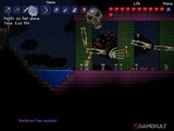 Terraria - Un peu de construction (et aïe)