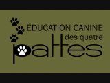 Éducateur canin: Des résolutions pour votre chien en 2014!