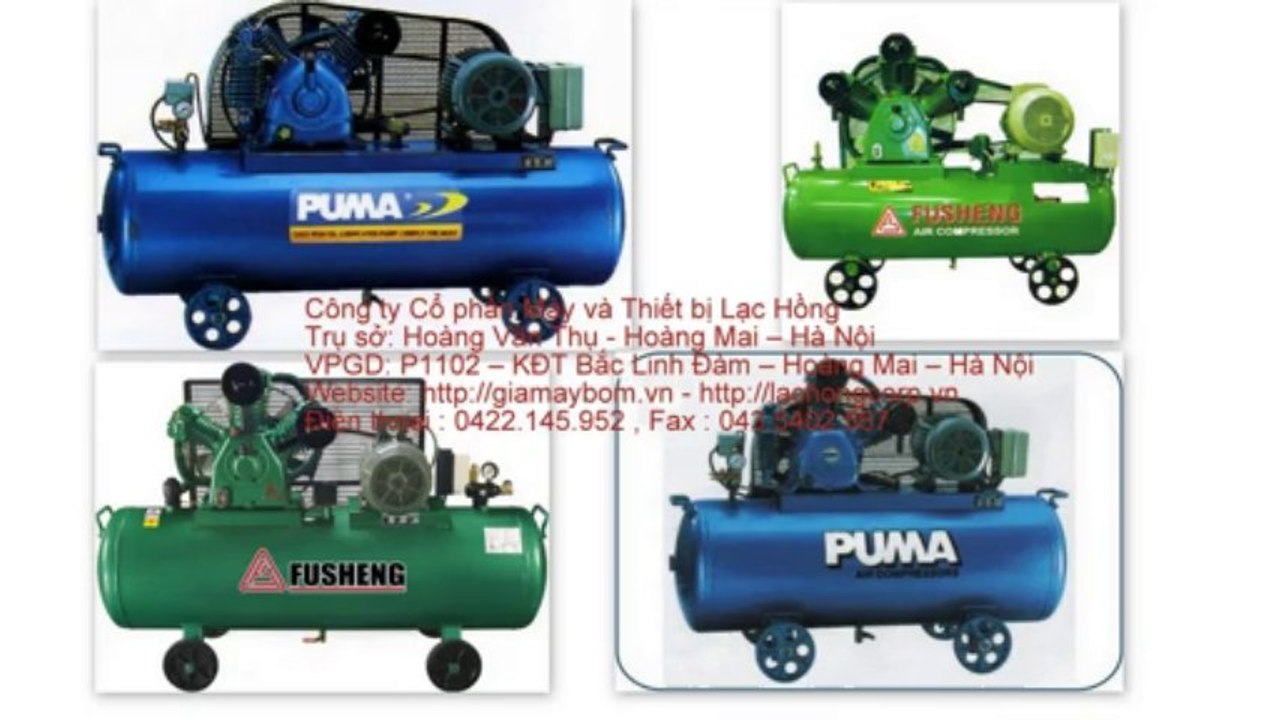 Máy nén khí puma Pk 20100, Pk 30120