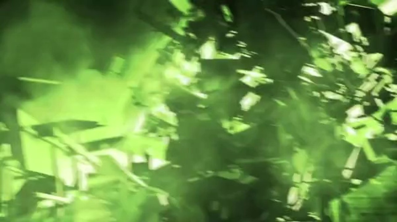 Call of Duty : Modern Warfare 3 - Germany Teaser