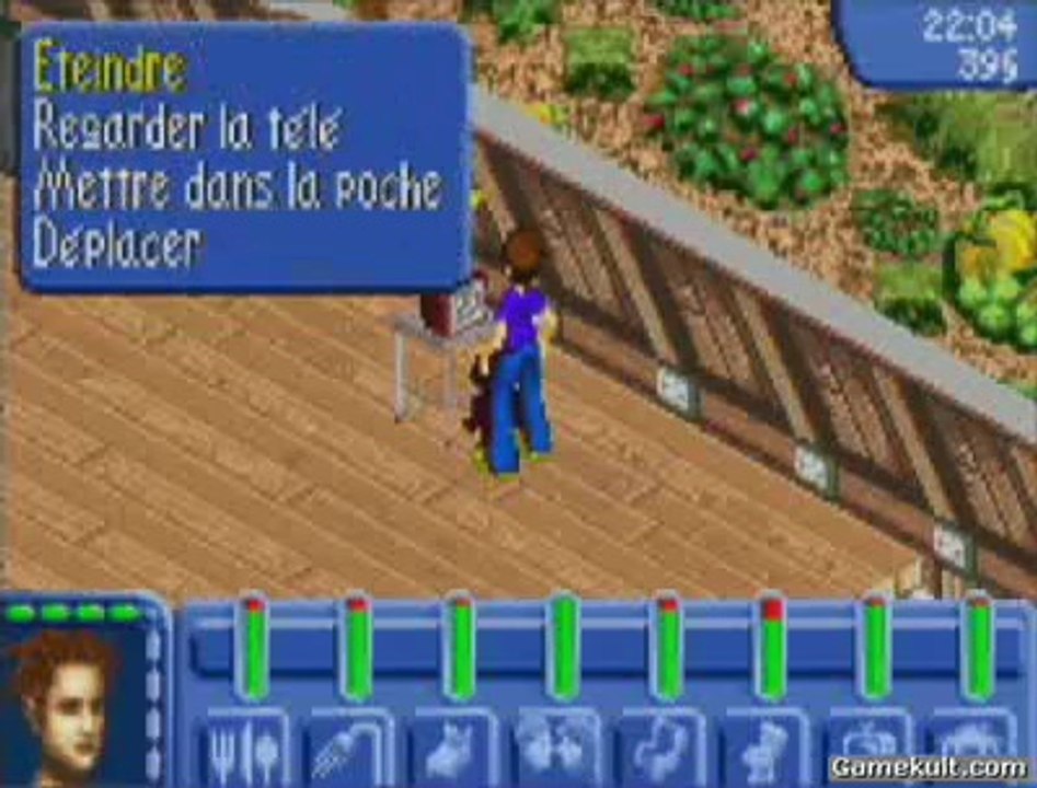 Les Sims : Permis de Sortir - Drôle de couple