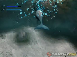 Ecco the Dolphin : Defender of the Future - La vie aquatique