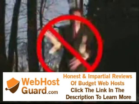 Best website developer, SEO and site hosting service EVER!