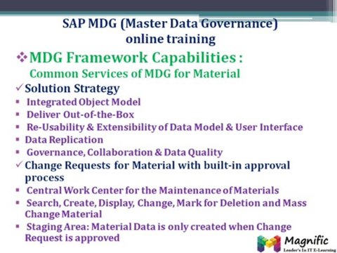 SAP MDG(Master Data Governance) online training