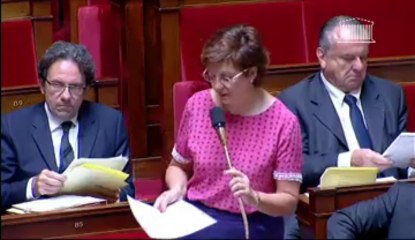 REPRÉSENTATION DES FRANÇAIS HORS DE FRANCE (nouvelle lecture)  - Vendredi 21 Juin 2013