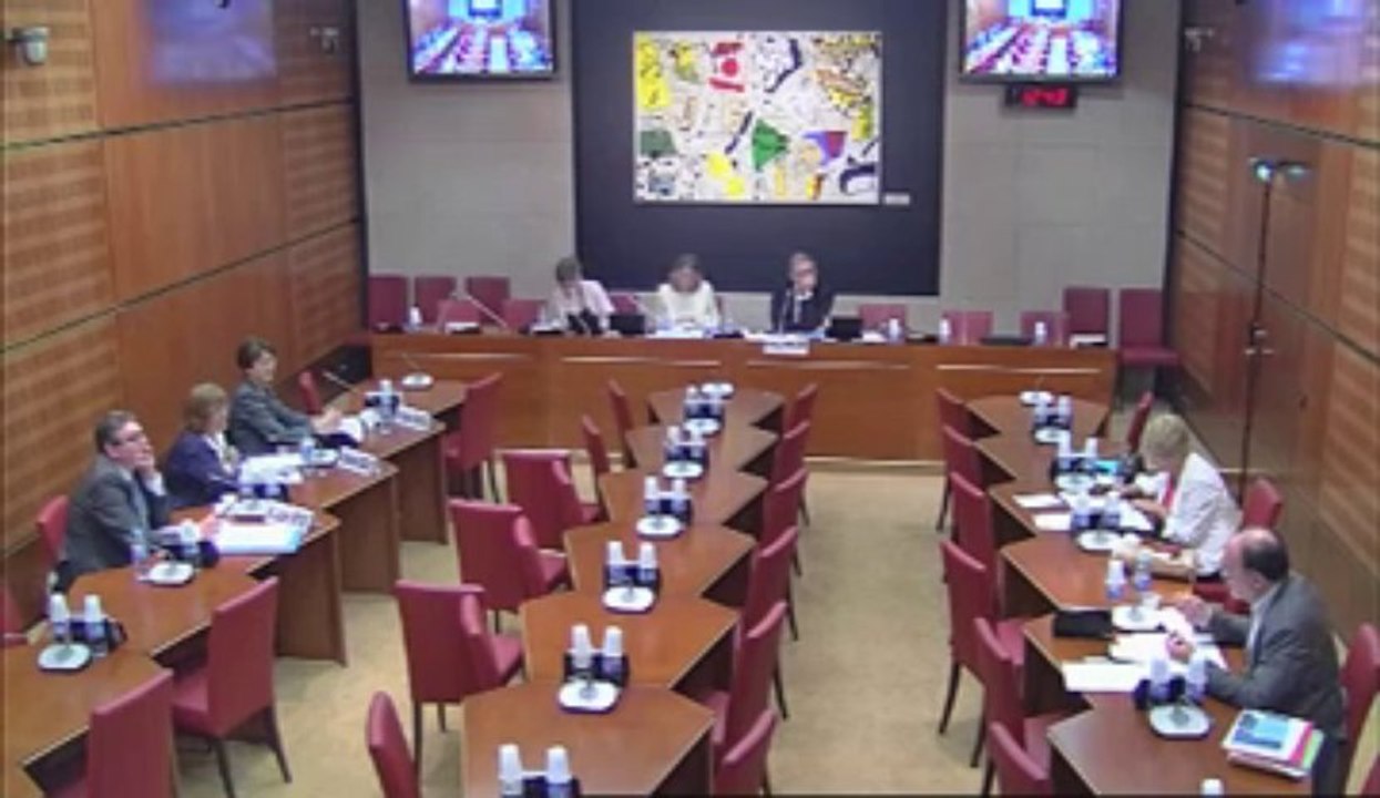 Audition de Mme Vanhee (ARS), M. Lazare Reyes (ARS) et Mme Catherine Isserlis - Jeudi 20 Juin 2013