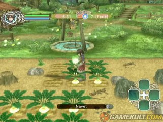 Rune Factory Frontier - En voilà de beaux navets !