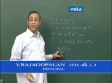 Veta Franchise Consultant