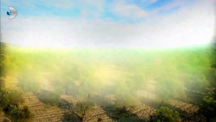 Zeytin Tepesi 1.Bölüm Fragmanı