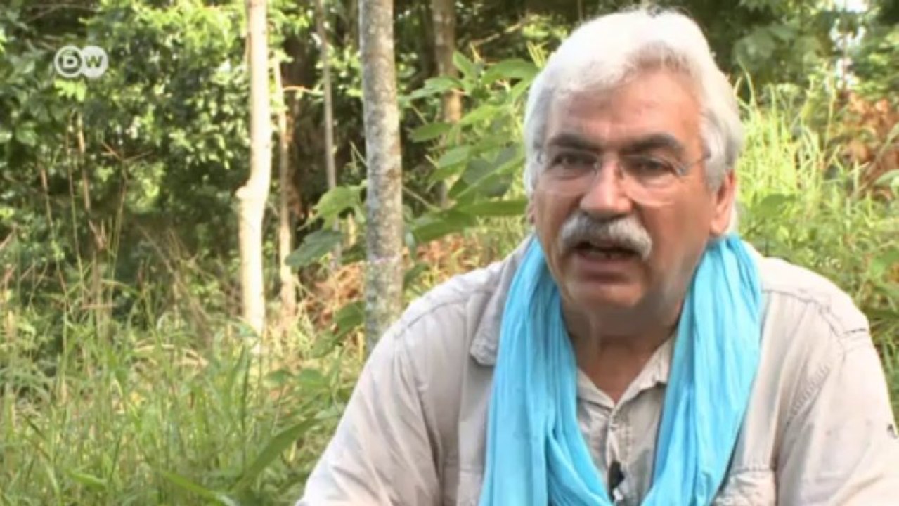 Planting trees | Global Ideas