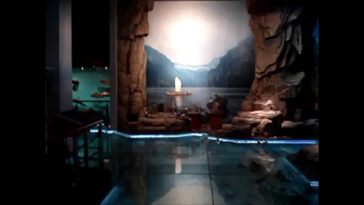 Amazingly High Tech Three Gorges Museum - Fine Arts - Chong Qing. China Tours