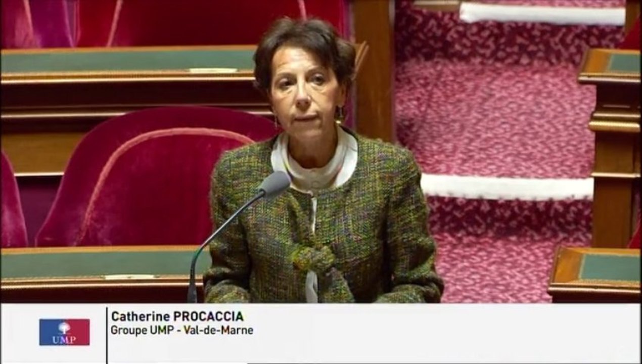 Privatisation du Château de Vincennes : "La  politique d’exploitation du patrimoine national passe-t-elle par sa mise à disposition pour des événements privés?"