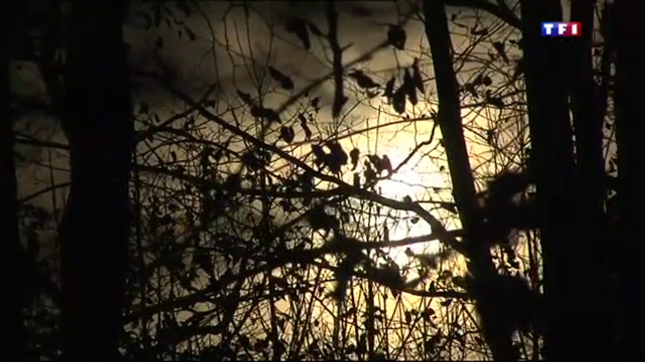 Une mine d'or gauloise decouverte dans la vienne