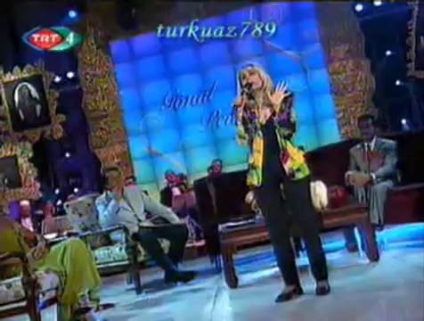 Can ETİLİ-Bir Rüzgârdır Gelir Geçer Sanmıştım