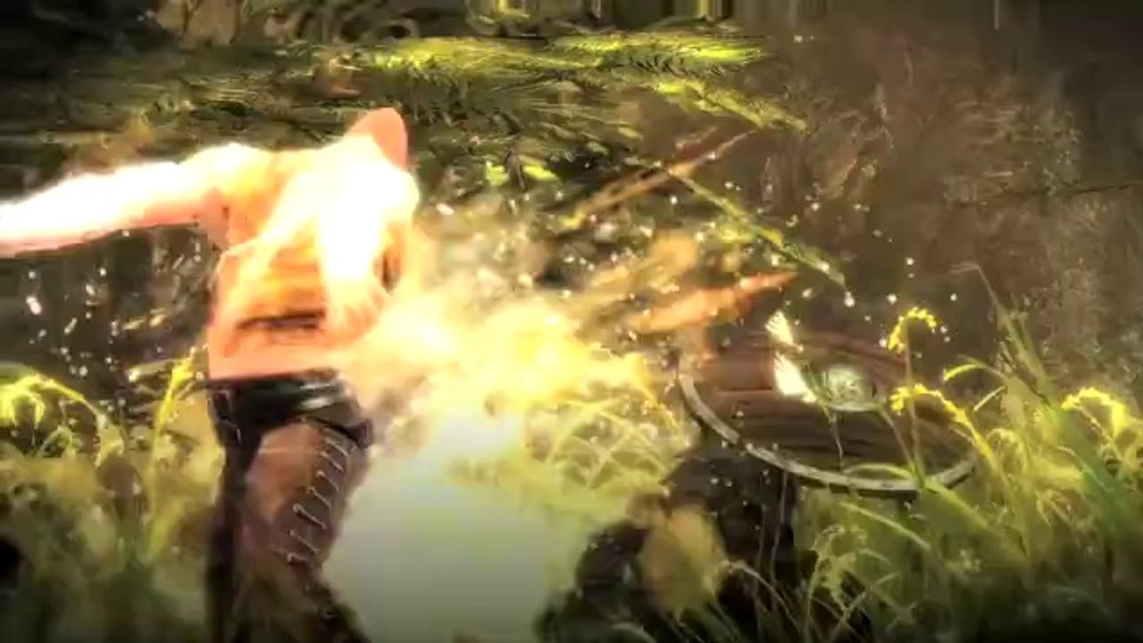 Guild Wars 2 - Warrior Skills