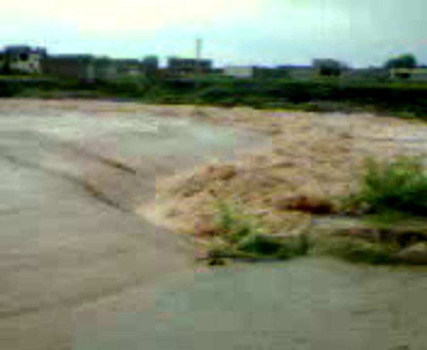 Koral Flood