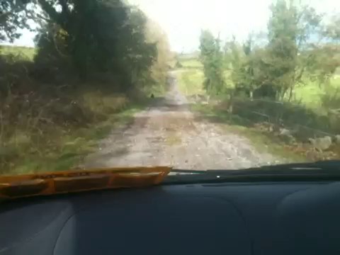 Playful Dog Sees Owner Off