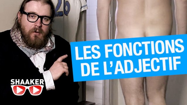 Parlons français : les fonctions de l’adjectif - Shaaker