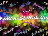 SeSLiKaL..CoM, Sesli Chat Sesli Sohbet Kameralı Görüntülü Sitesi