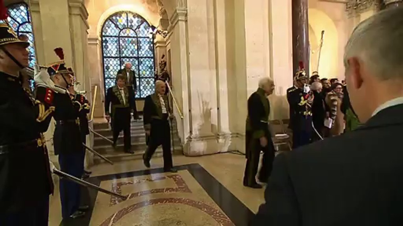 Coupole 2013 de l'Académie : descente des marches