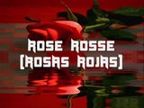 Rose Rosse per te! ( Rosas Rojas por ti)