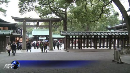 Japon: pélerinage de deux champions de sumo