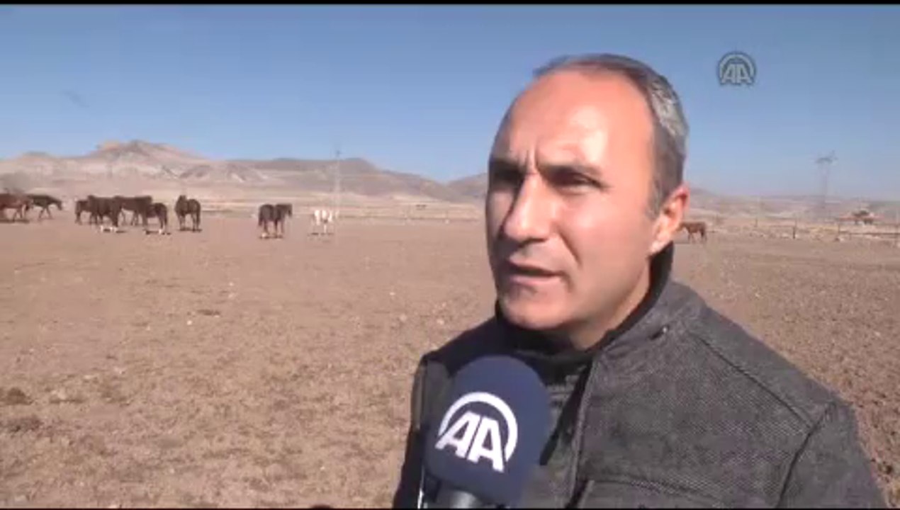 Başarılı olmalarının nedeni doğal ortamda beslenmeleri