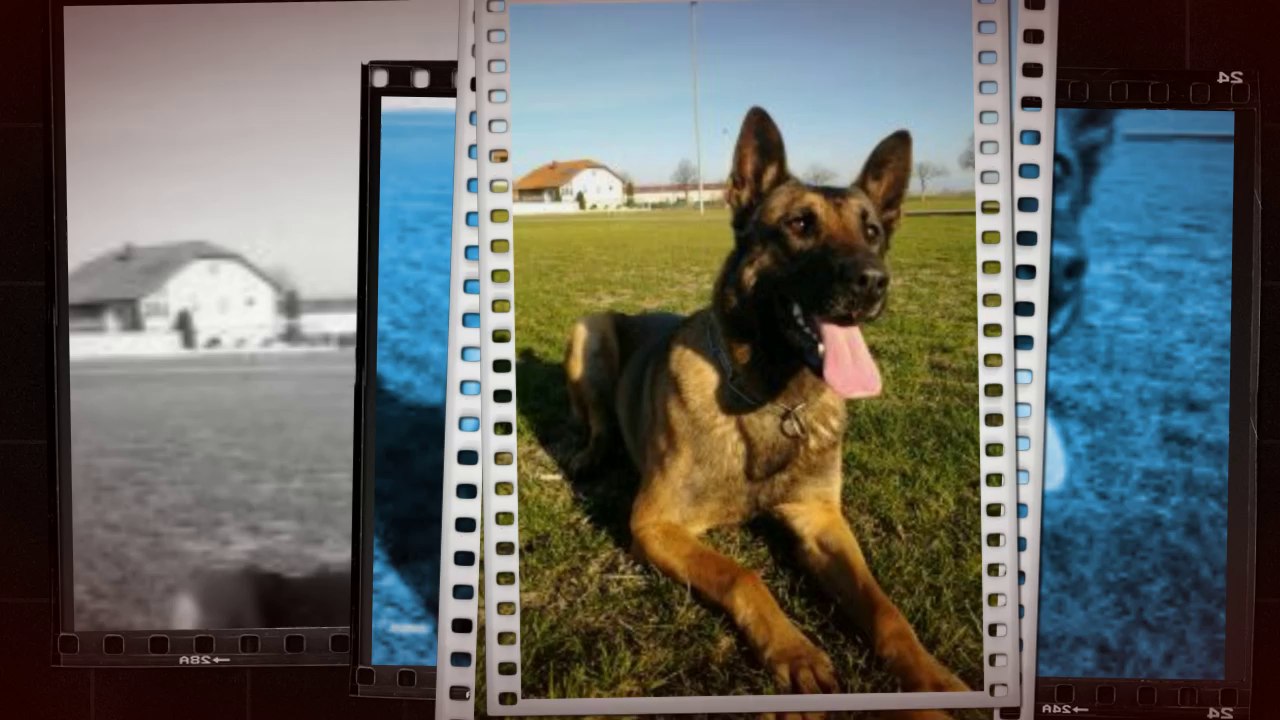 Be Aware Da'Grizzly @ Training