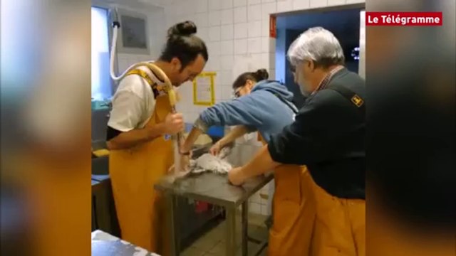 L'Ile-Grande. Oiseaux mazoutés : pic d'activités à la LPO