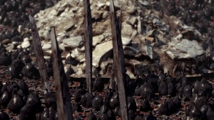 Actress - Grey Over Blue