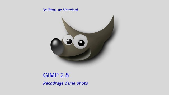 Les Tutos de BièreNard : Gimp Recadrage