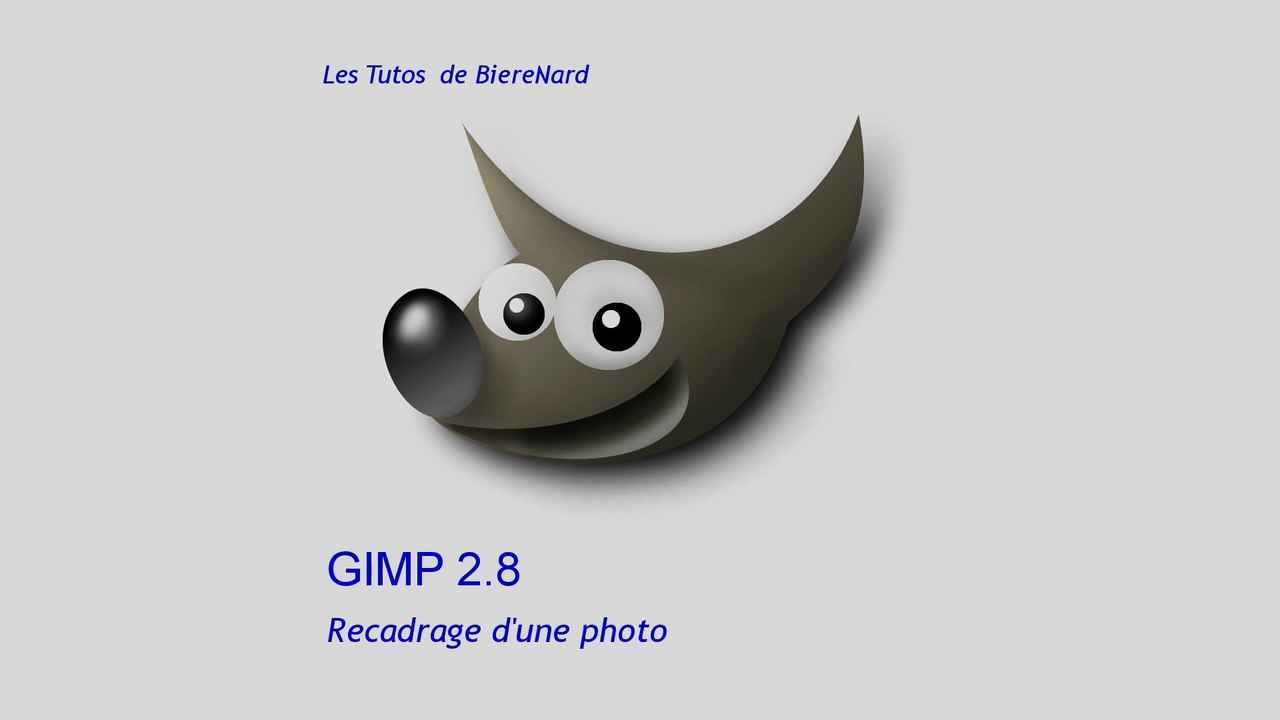 Les Tutos de BièreNard : Gimp Recadrage