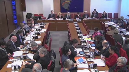 Intervention en Commission des Affaires sociales de M. Daniel Lenoir, DG de la CNAF