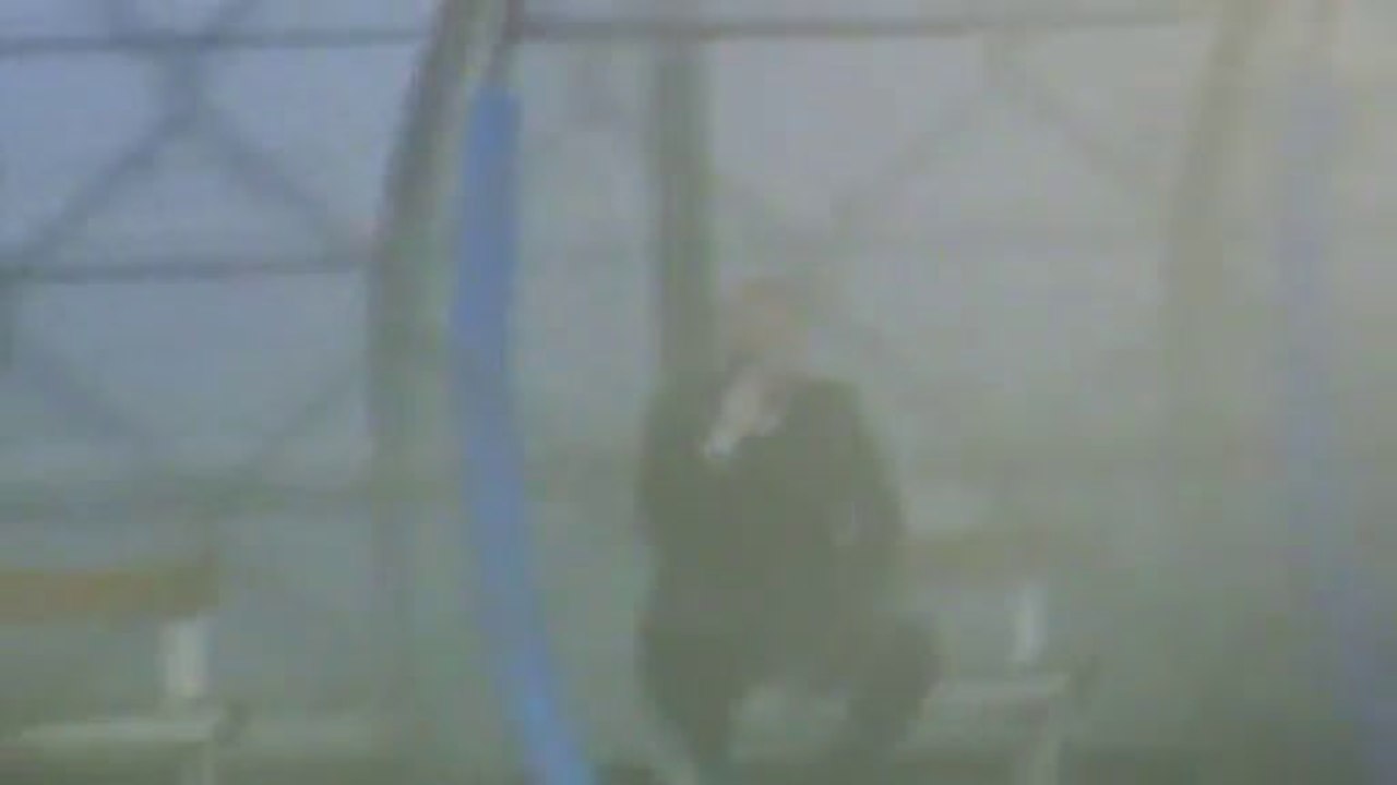 TARE AL TELEFONO