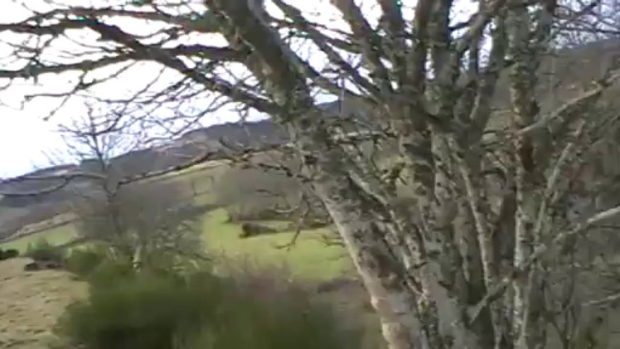 chasse du 08 01 2014