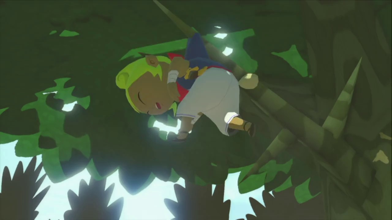 The Legend of Zelda : The Wind Waker HD - Premier combat
